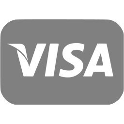 Visa Casino Online