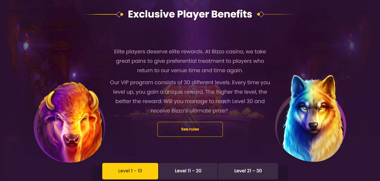 Screenshot of VIP program in 5 dollar Deposit Casino in Canada