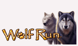 Wolf Run slot