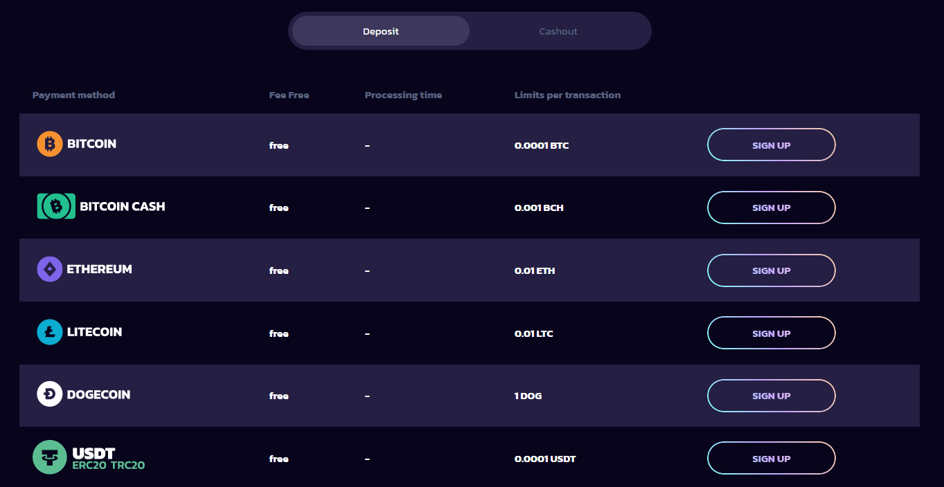 21Bit Payments - Screenshot From Official Website