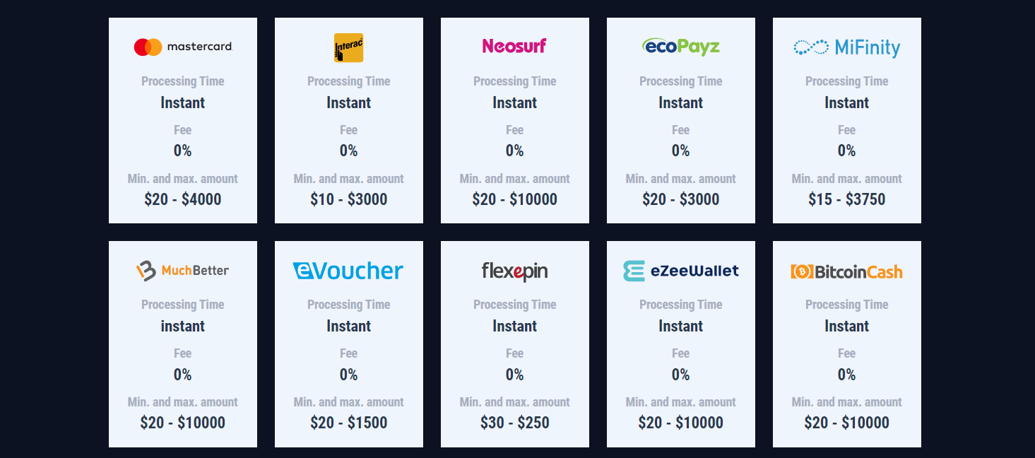 Screenshot of Rabona Online Casino Payments Methods from Official Website